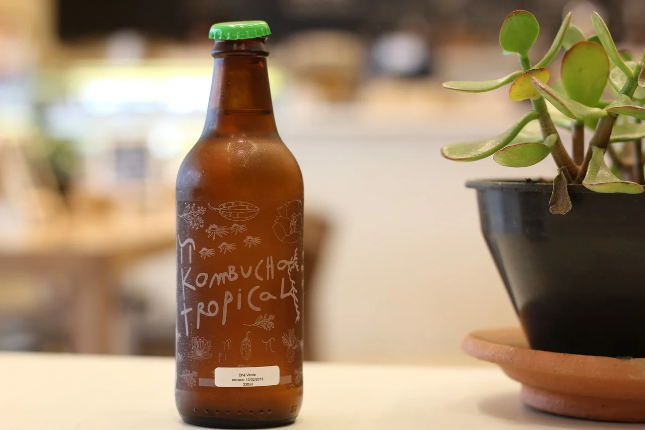 kombucha-3386823_1280