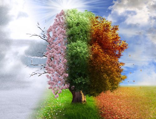 Menopause & Weight Gain: What If Your Body Isn’t the Problem?